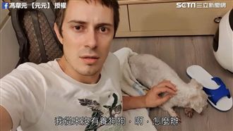 颱風天見迷路毛孩　法暖男雨中尋主人