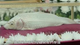 韓劇,優雅的家,翻攝自YT