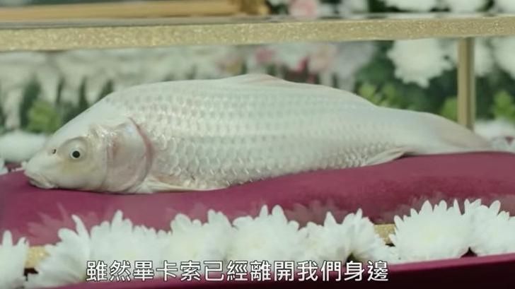 韓國魚辦喪禮　網笑：秋刀魚親戚？