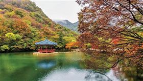 （圖／Tripbaa趣吧！亞洲自由行專家）