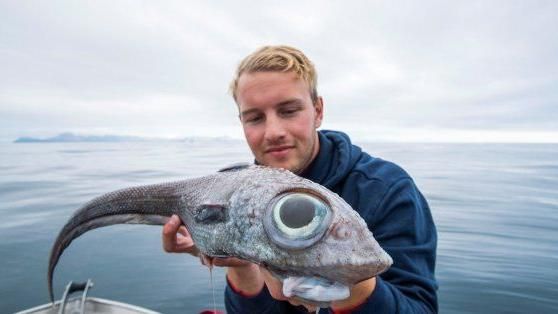 8百公尺深海垂釣　他捕獲罕見怪獸魚