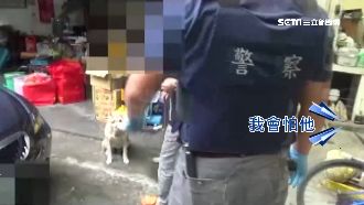 兵工廠內藏比特犬！嫌想逃卻摔破屋頂