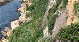 新北市,野柳,地質公園,失足,死亡,警消,