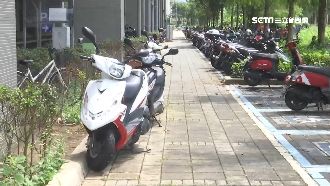 機捷周邊檢舉狂人！抓違停1次破百件