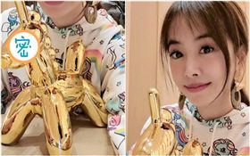 蔡依林（圖／微博）