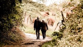 老夫妻。(圖/Pixabay)