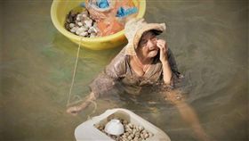 越南,漁村,貝類,海女,精障。(圖/翻攝自臉書)