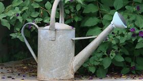 澆花,澆花器（圖／示意圖／翻攝pixabay）