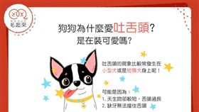 名家專用／毛起來MAOUP（勿用）