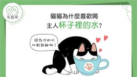 名家專用／毛起來MAOUP（勿用）