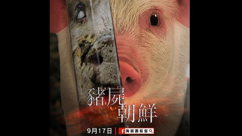 豬屍朝鮮！南韓驚爆豬瘟…海巡揭真相