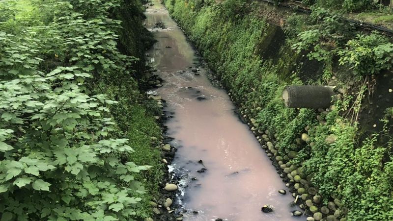 鳳山溪變草莓牛奶　高市允速劃管制區