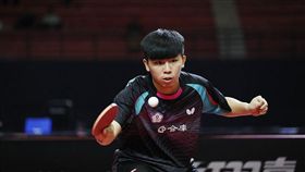 ▲中華隊王泰崴。（圖／取自國際桌總官網）