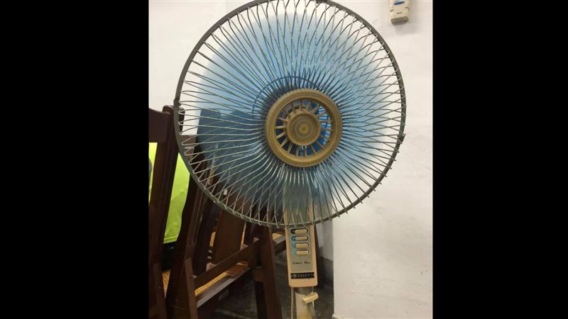 36年電扇超耐操　品牌曝網嘆回不去