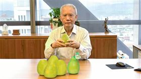 花蓮,鶴岡文旦,超商,上海,頂新,魏應充