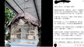 韓國瑜,韓粉,放生,寵物鳥,白頭翁 圖／翻攝自臉書