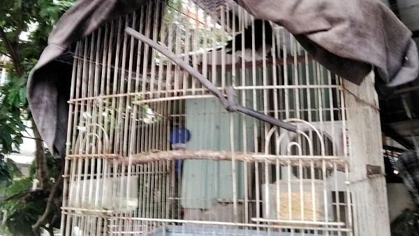 知名韓粉亂放生他人小鳥！網齊聲怒轟