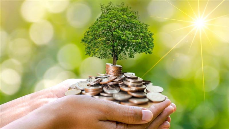 分批投資低波動優質股　退休金穩入袋