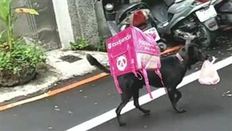 這狗超聰明！「野原小黑」跑腿買早餐