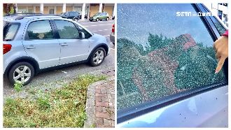 車窗碎裂疑除草惹禍　女車主求助網友