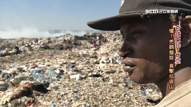 肯亞垃圾山　禿鸛盤旋猶如末日景象！