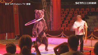 瘦成皮包骨照樣出演　馬戲團悲歌曝光