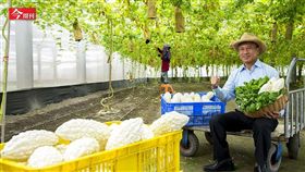 名家專用／今周刊（勿用）