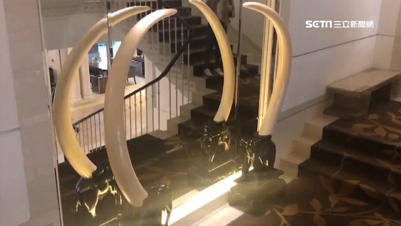 藝人曾合影！酒店象牙遭檢舉非法展示