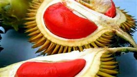 馬來西亞,紅肉,榴槤,蘇康榴槤。(圖/翻攝自今日新聞臉書)