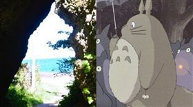 日本,青森,洞穴,岩穴,龍貓。(合成圖/翻攝自朝日新聞、推特)