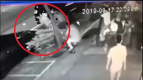 不只砸寵物店　10惡煞還圍毆路人