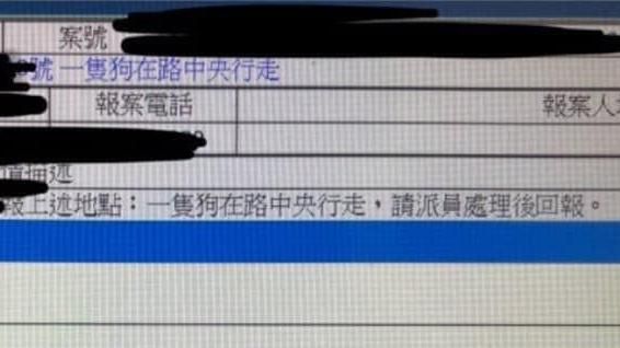 狗擋路！警問「你有故事嗎」超鬧