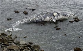 示意圖 圖／美聯社／達志影像