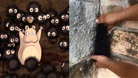  鍋爐爺爺的煤炭球？牆邊黑色毛絨塊　一摸網友嚇到魂飛了 圖翻攝自datcowboykidd　ig、百度