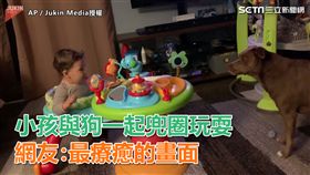 小孩與狗一起兜圈玩耍　網友:最療癒的畫面