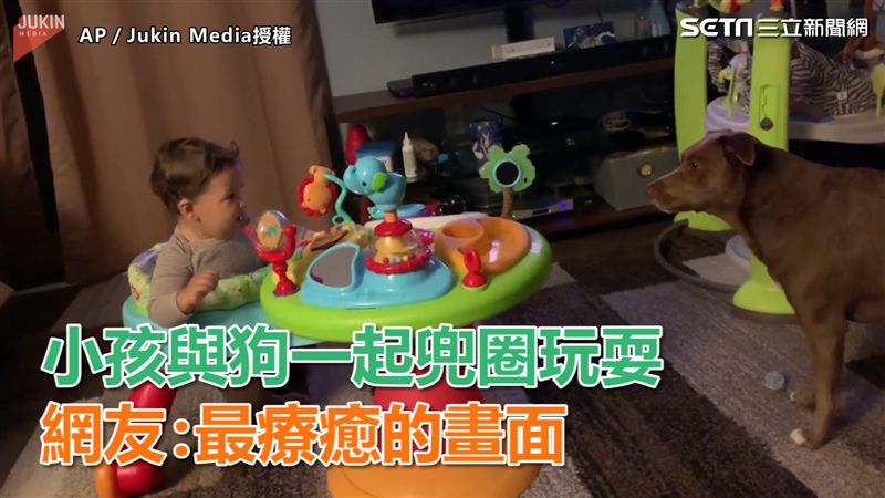 小孩與狗玩耍　網友：最療癒的畫面