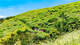 台北大縱走攝影賽　邀民眾發現山林之美台北市政府工務局舉辦「2019台北大縱走攝影比賽」，邀請民眾走進山林，用鏡頭捕捉大自然之美，有機會獲得金獎獎金新台幣10萬元。圖為大屯山景色。（台北市工務局提供）中央社記者陳怡璇傳真　108年4月2日