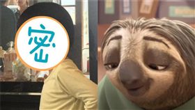 陳子玄,陳建隆,撞臉,恩恩,兒子,樹懶 圖/臉書