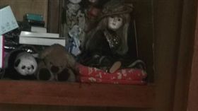 （圖／翻攝自推特@handai05_nkym）日本,過世,座敷童子,貓