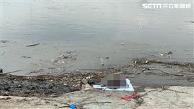 台北市敦煌碼頭打撈到一具男性浮屍（讀者提供）
