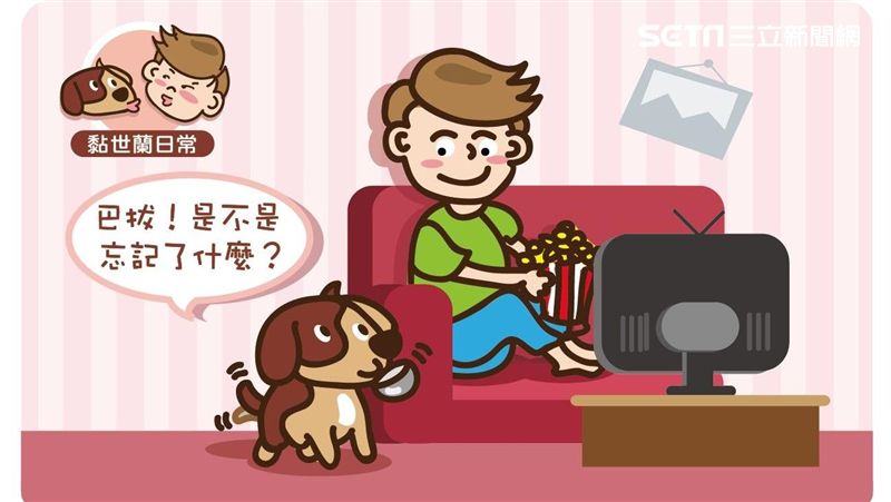 行為／汪星人叼著碗提醒你意味是？
