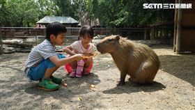 觀光局,國旅,秋冬,自由行,優惠,台南市觀光旅遊局,國旅補助