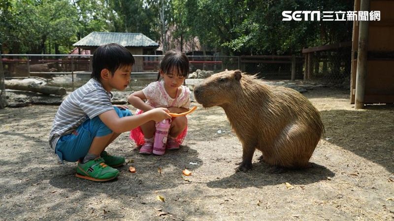秋冬遊台南　必看國旅獎助優惠大補帖