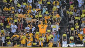 彭政閔新莊棒球場球迷。（資料圖／記者王怡翔攝影）