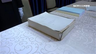 蔡英文論文原稿曝！LSE校友幫澄清