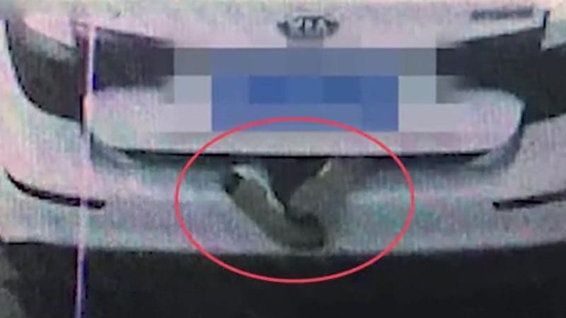 車尾箱露出一雙腳！警方攔查嚇傻…