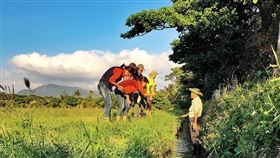 墾丁秋冬限時版玩法  踏水巡田摸蜆拔蘿蔔（1）國立海洋生物博物館與恆春鎮龍水社區合作，推出季節限定行程「踏水巡田」，讓遊客體驗墾丁摸蜆、拔蘿蔔的樂趣。（海生館提供）中央社記者郭芷瑄傳真  108年9月24日