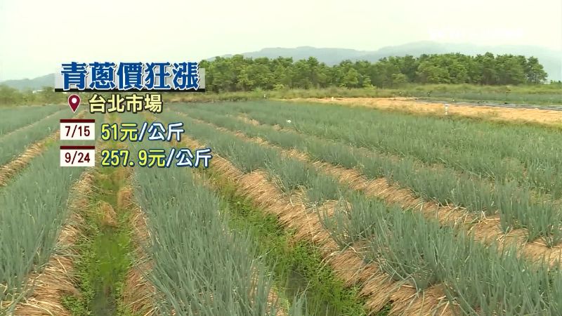 颱風重創！三星蔥漲7倍飆破280元