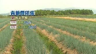 颱風重創！三星蔥漲7倍飆破280元