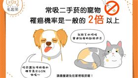 名家專用／毛起來MAOUP（勿用）